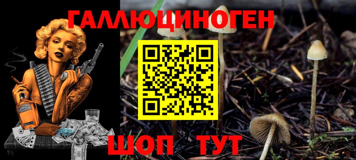 Кемерово  Галлюциногенные грибы Magic Shrooms  Вход с VPN  наркошоп  Псилоцибиновые грибы мицелий 